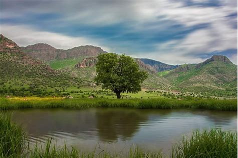 لەم چەرخەدا، ئێمە ڕووبەڕووی دوو دیاردەی مەترسیدار دەبینەو