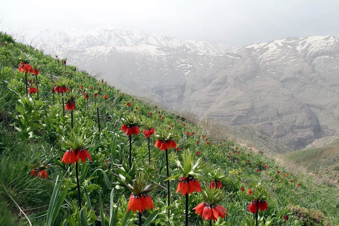 بەشی یەکەم: مرۆڤ و ژینگە لە زاگرۆس،بەر لە10 هەزار ساڵ...