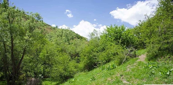 شنۆ،شارێک بەمێژووی 3000 ساڵە