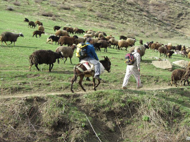 بنکەی ژین و مێژووی کورد