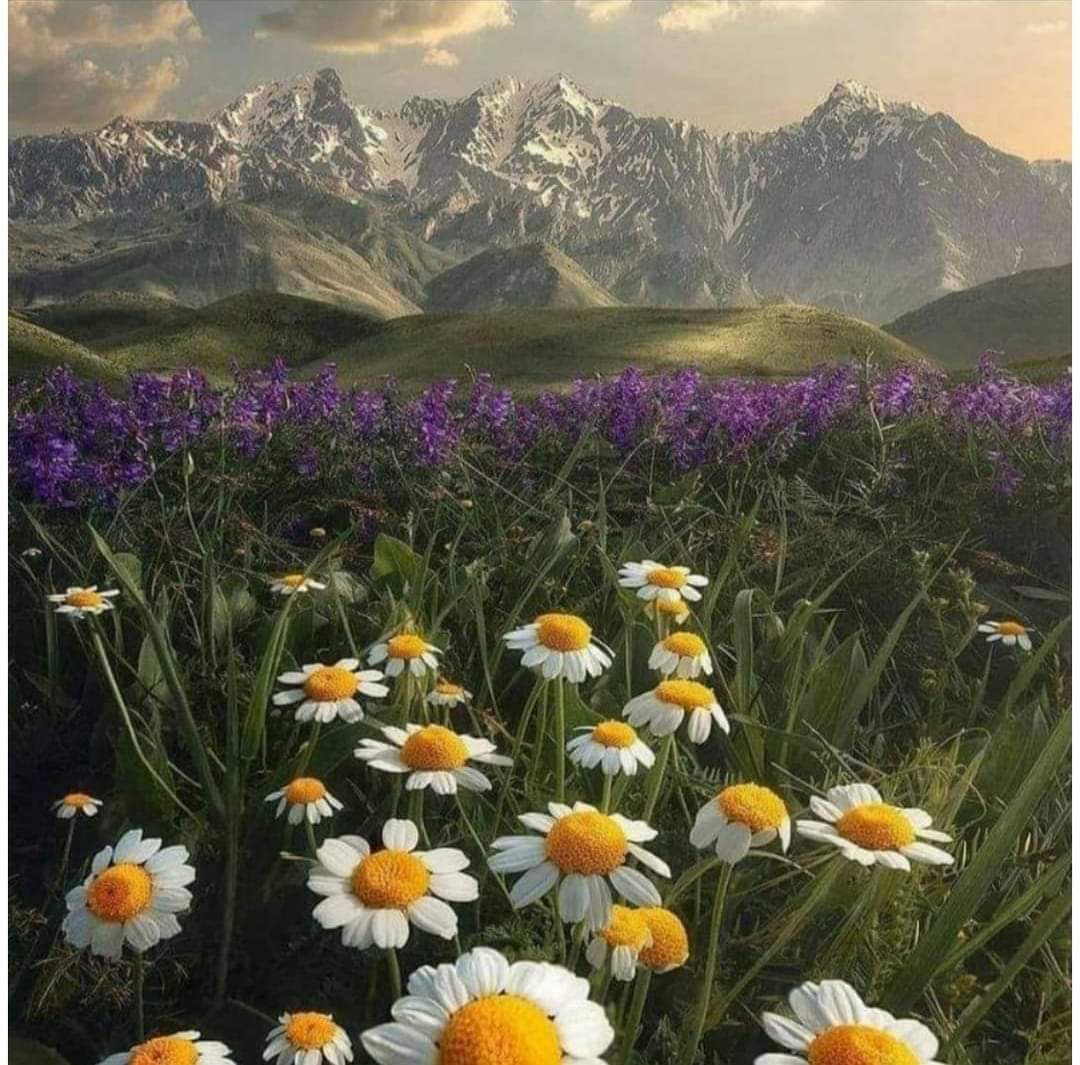 زنجیرە چیای (زاگرۆس) لەکوێوە ئەو ناوەی وەرگرتوە؟